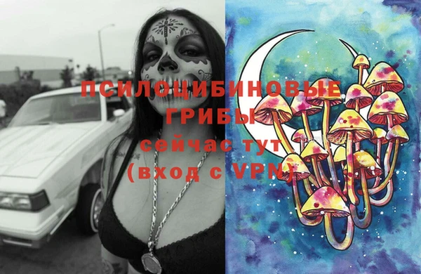 первитин Мурманск