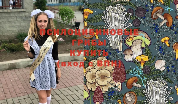 дмт Саяногорск