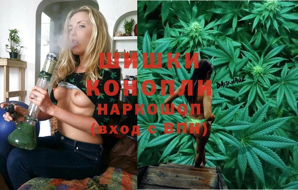 apvp Семилуки