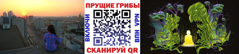 Галлюциногенные грибы GOLDEN TEACHER  купить закладку  мега рабочий сайт  Слободской 